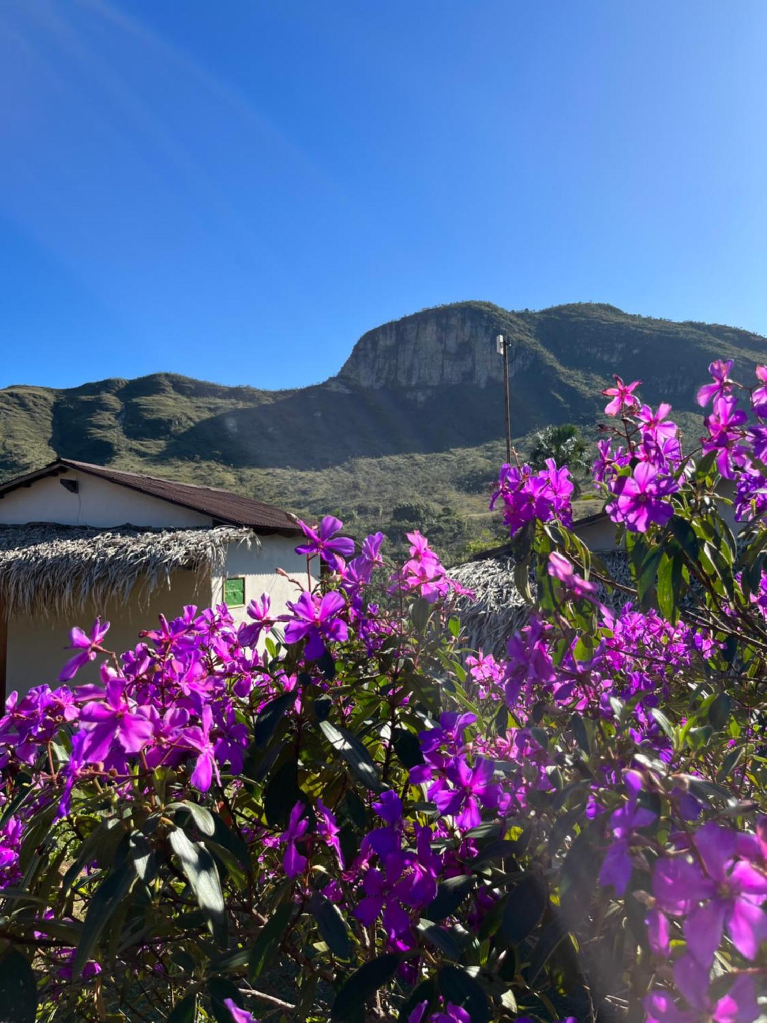 Pousada Rancho Dos Ipes Alto Paraíso de Goiás 客房 照片