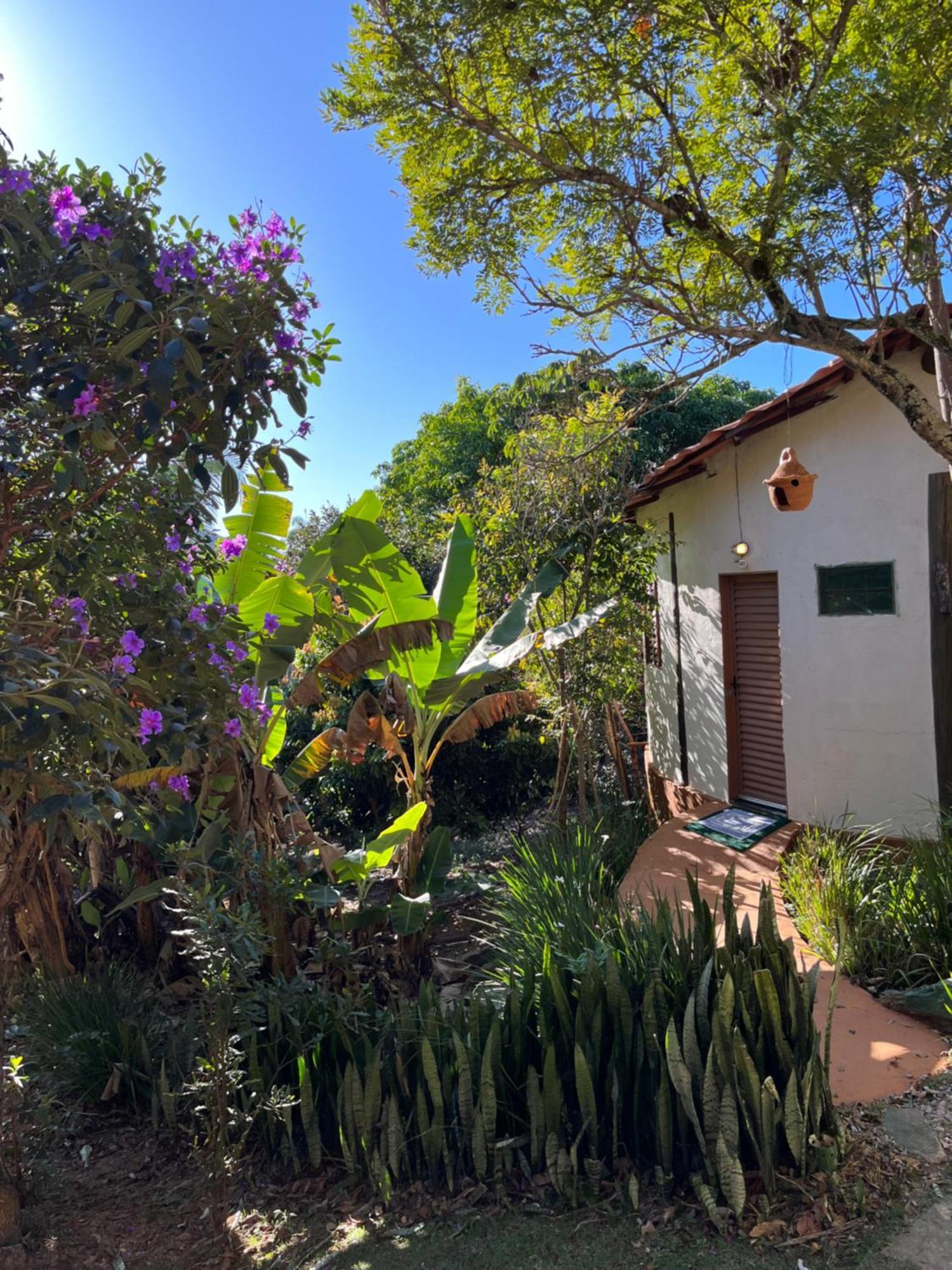 Pousada Rancho Dos Ipes Alto Paraíso de Goiás 客房 照片